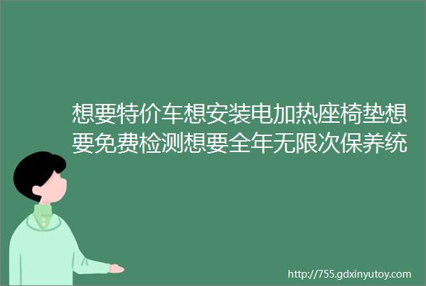 想要特价车想安装电加热座椅垫想要免费检测想要全年无限次保养统统看这里