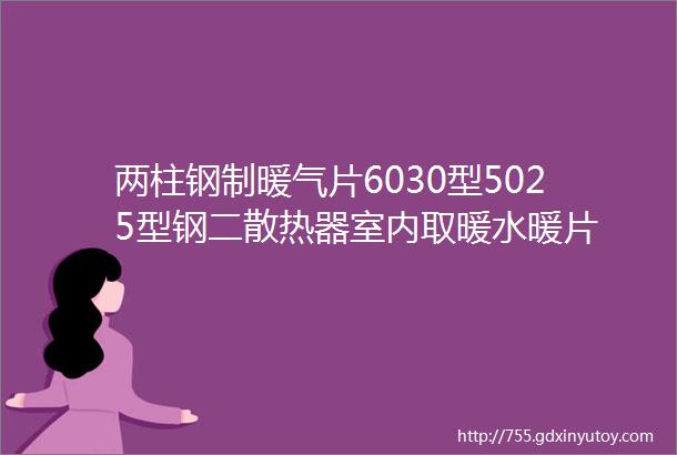 两柱钢制暖气片6030型5025型钢二散热器室内取暖水暖片