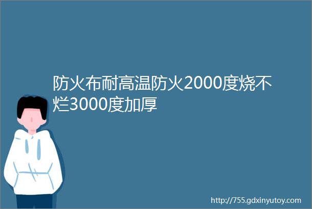 防火布耐高温防火2000度烧不烂3000度加厚